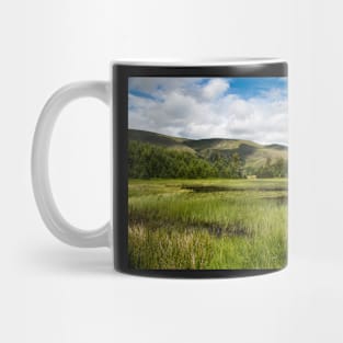 Summer at Harrop Tarn Mug